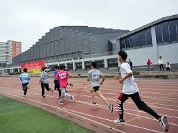 聚焦冰雪经济 品牌赋能体育做尖兵